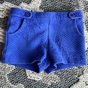 Janie and Jack cobalt blue shorts 2T with floral embroidery